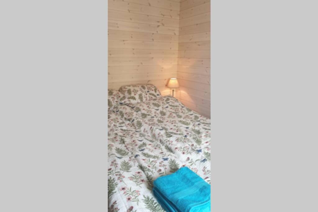 Nydelig Hytte I Kabelvag Lofoten Extérieur photo